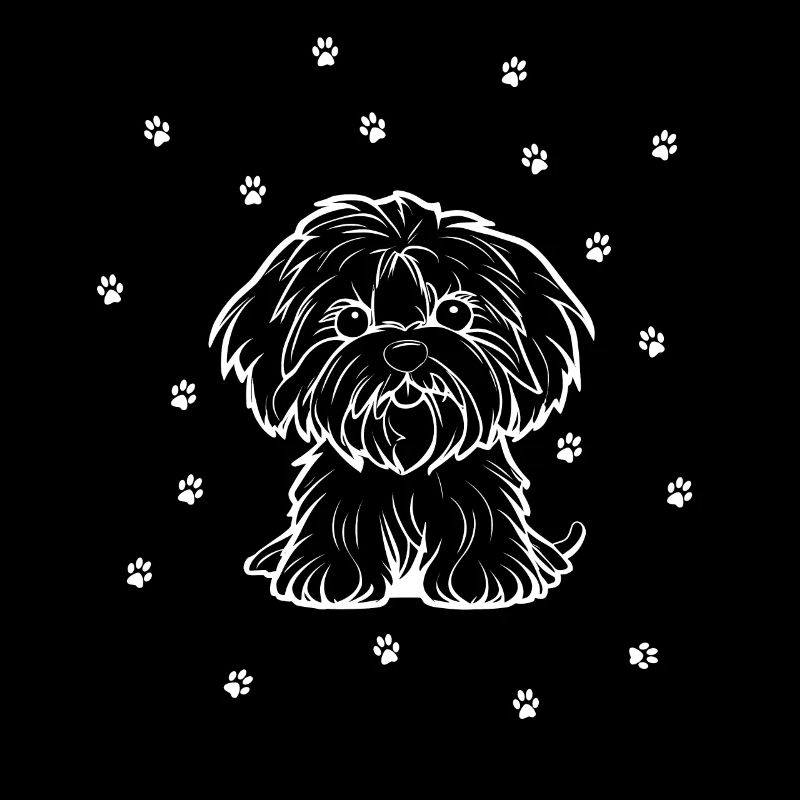 Havanese with small paws