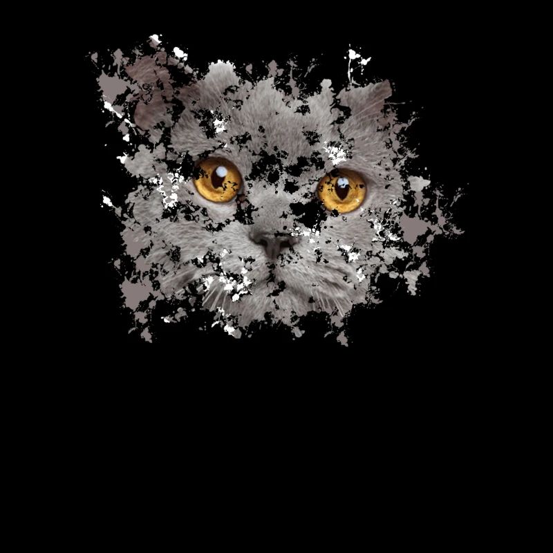 Visage BKH