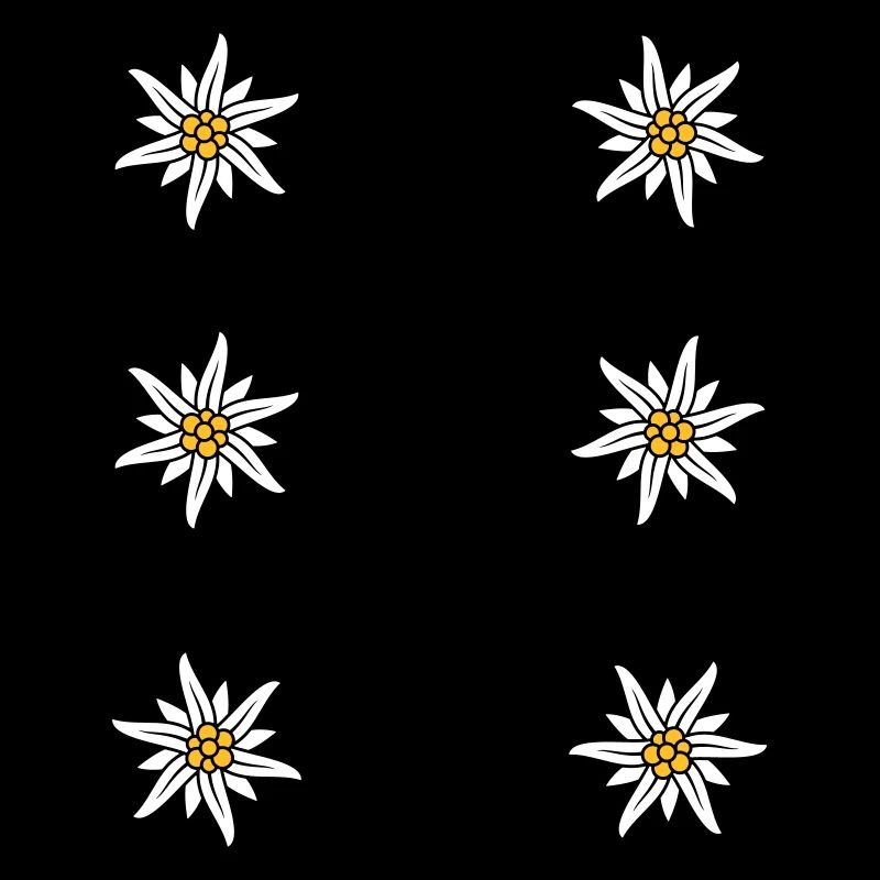 Tablier Dirndl Edelweiss