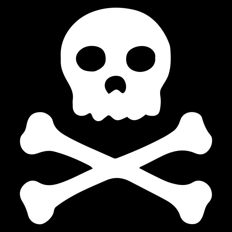 Pirate - Symbole de crâne - Drapeau de pirate