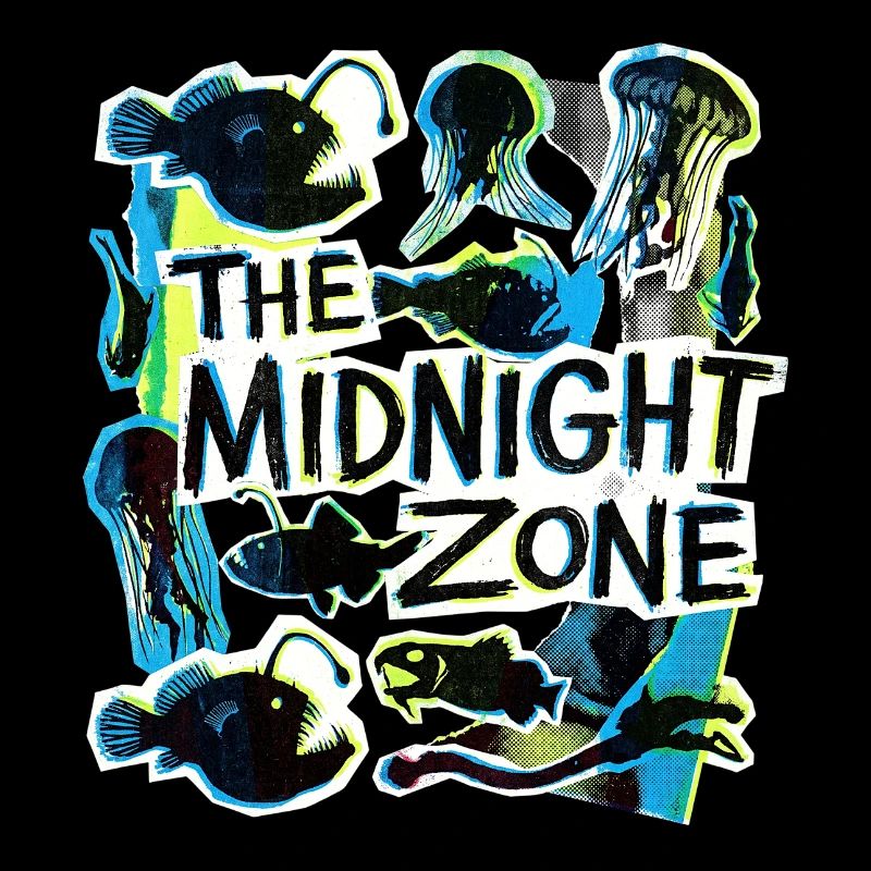 The Midnight Plastic Zone