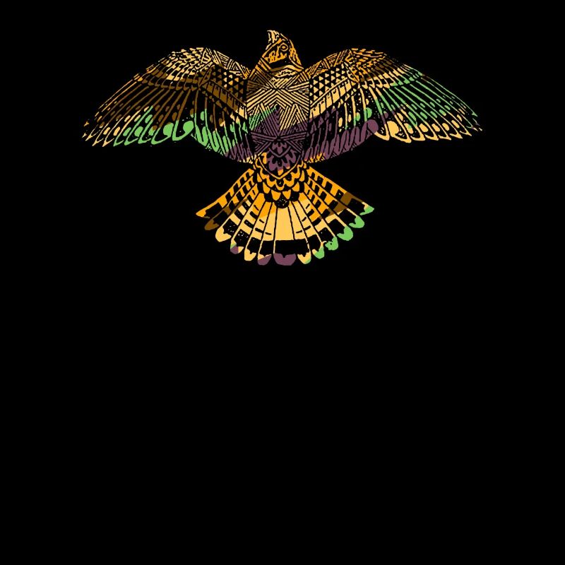 Eagle Hawk American Indian Native Animal