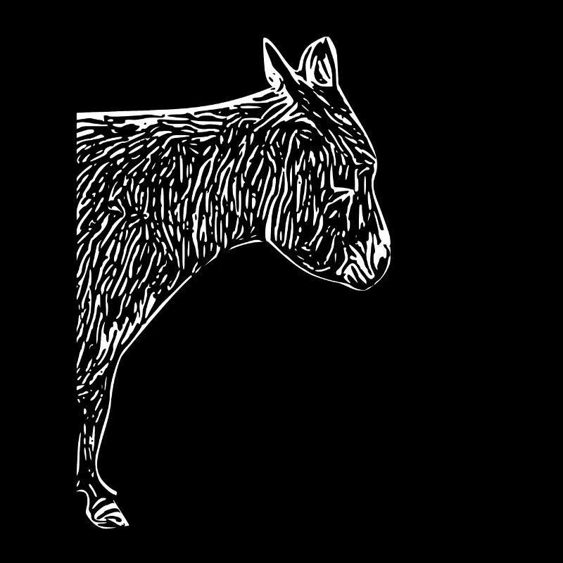 Cooler Hausesel Eselchen Langohr Grautier