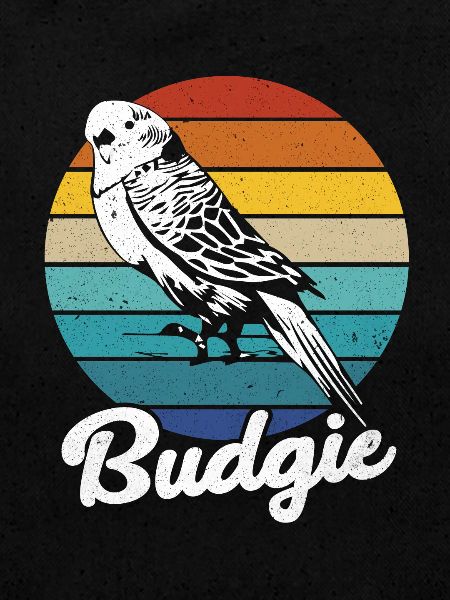 Budgie