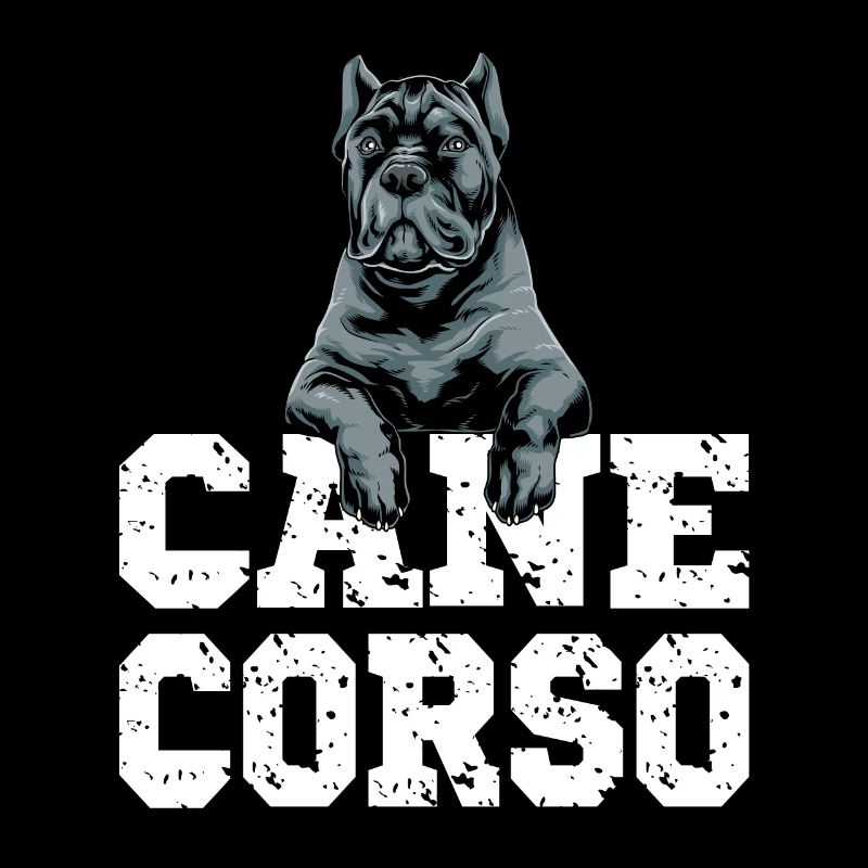 Cane Corso für einen Cane Corso Besitzer Cane