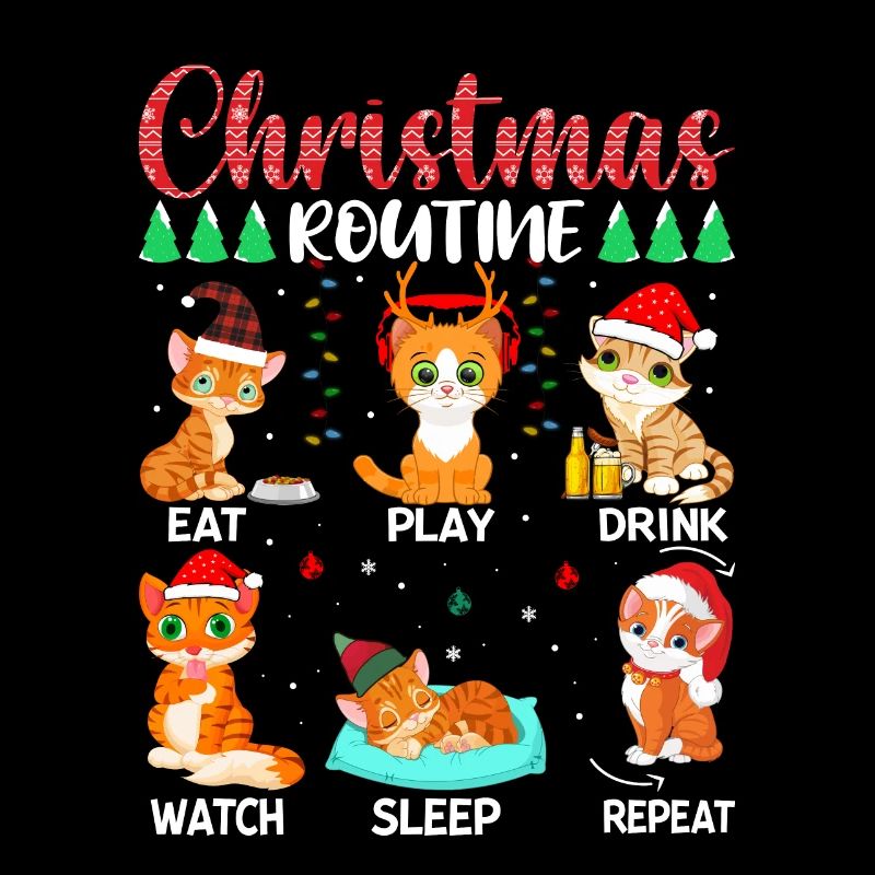 Routine de Noël Chat