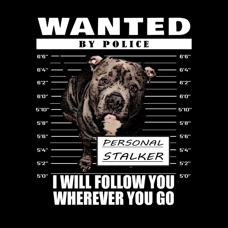 American Bully XL blue line artistic design