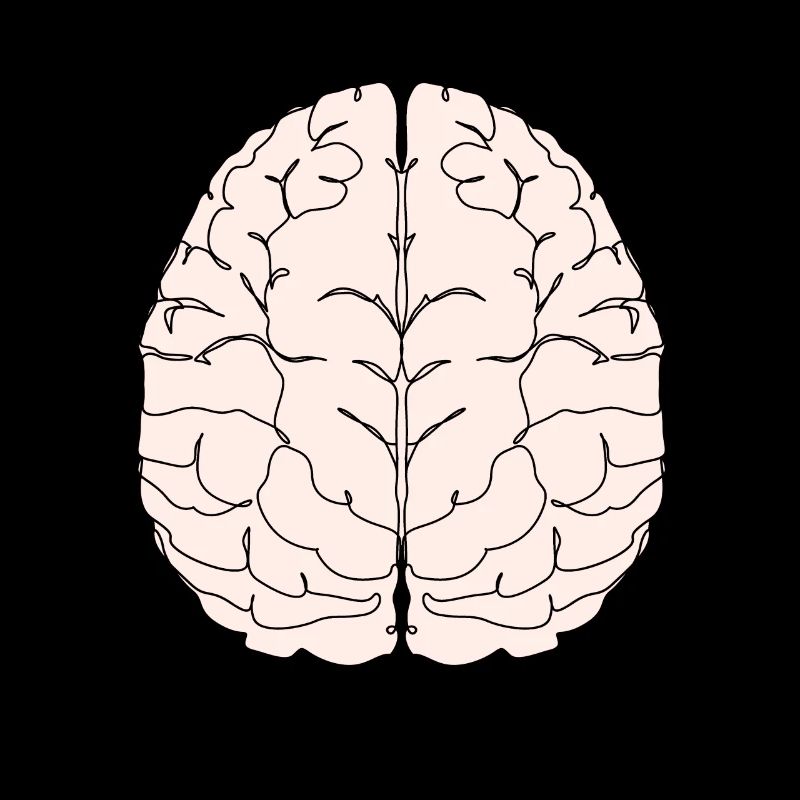 brain brain brain intelligence smart smart student university