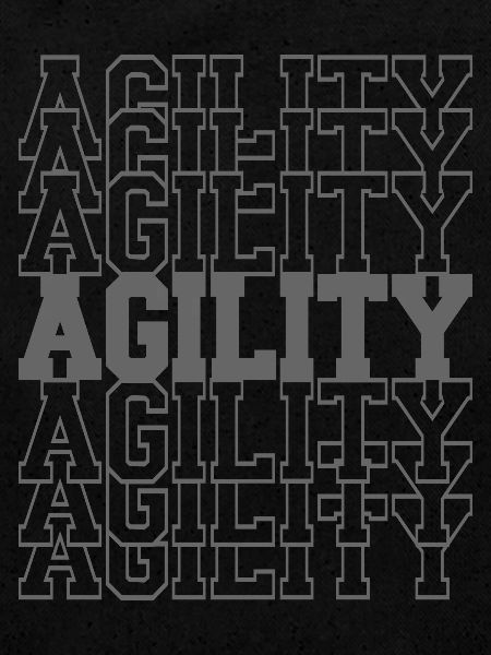 Lettrage d’agilité