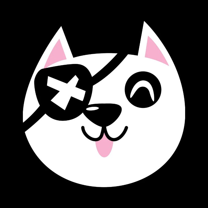 Pirate Cat