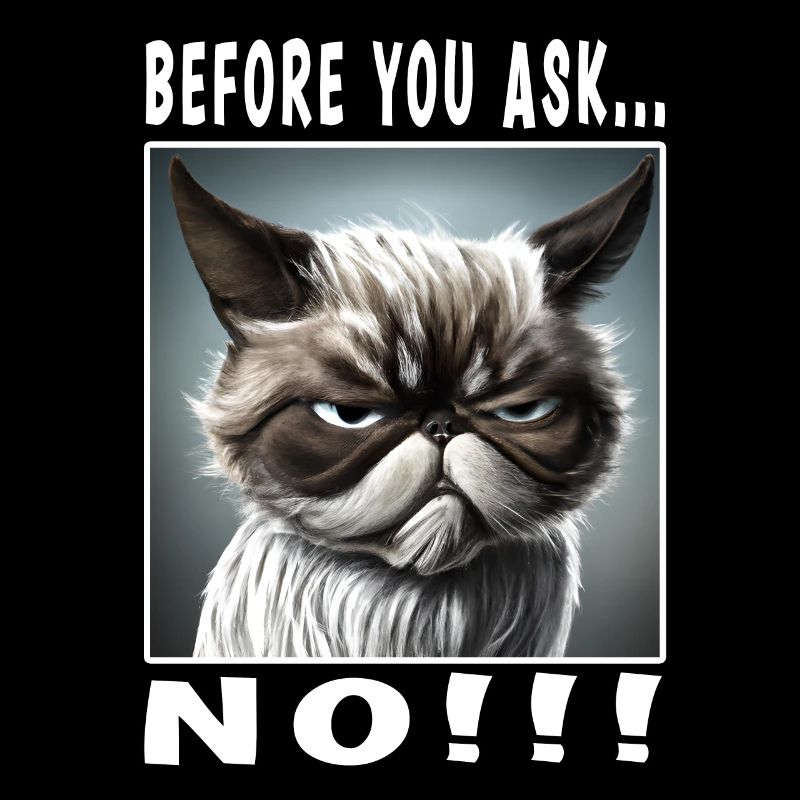 Before you ask no