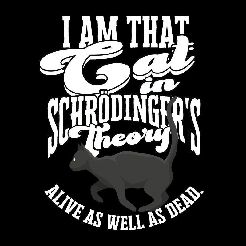 Schrodingers Katzentheorie Quantenphysik
