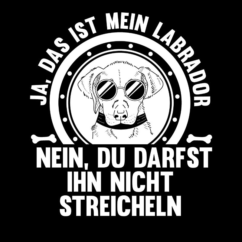 Hund Labrador