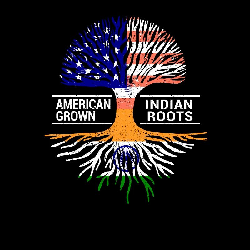 Drapeau américain Inde indienne racines Pendjab