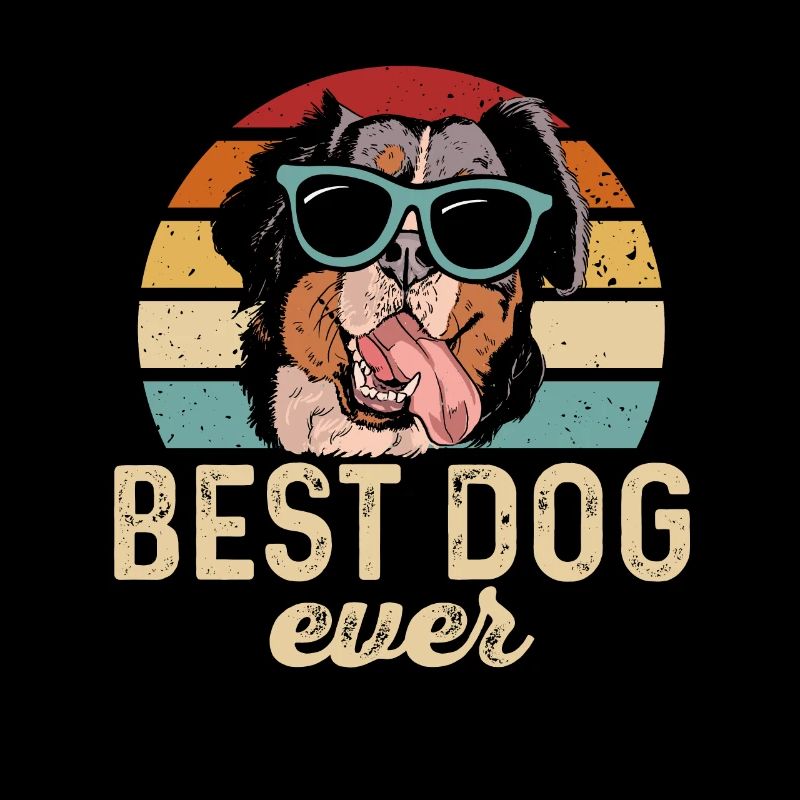 Berner Sennenhund