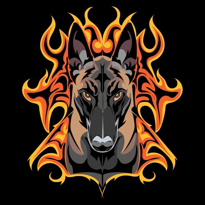 flash malinois