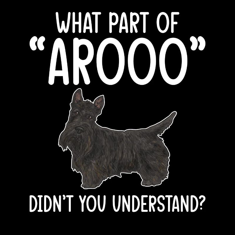 Scottish Terrier Scottie Hund