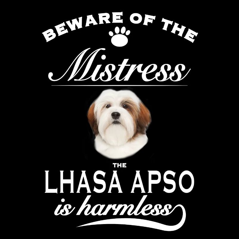 Beware of the mistress, harmless Lhasa Apso