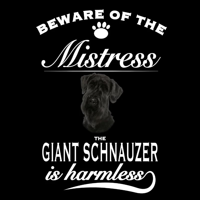 Méfiez-vous de la maîtresse, inoffensive Schnauzer géant