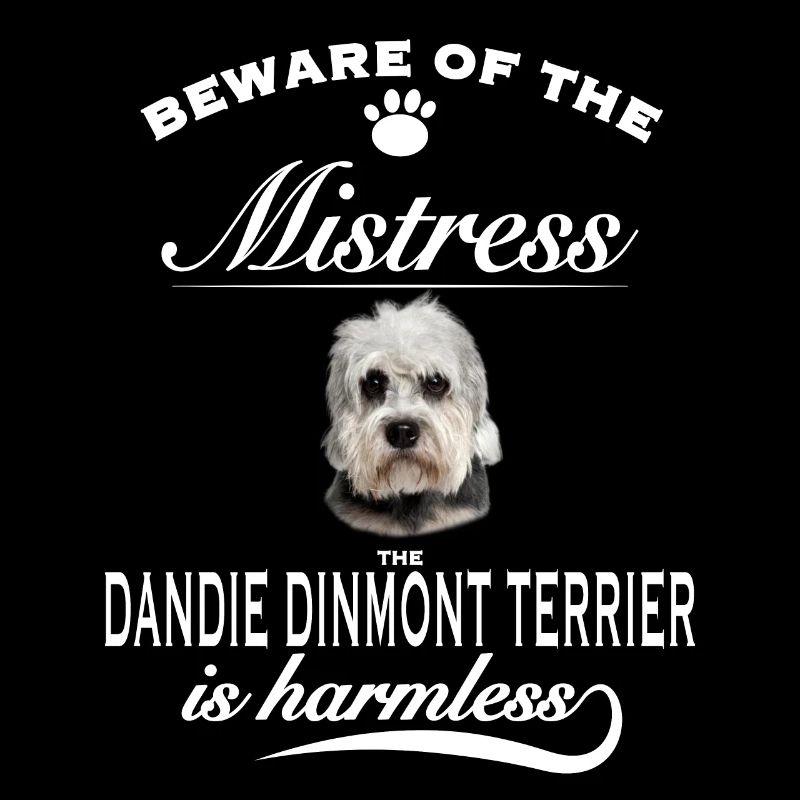 Beware mistress, harmless Dandie Dinmont Terrier