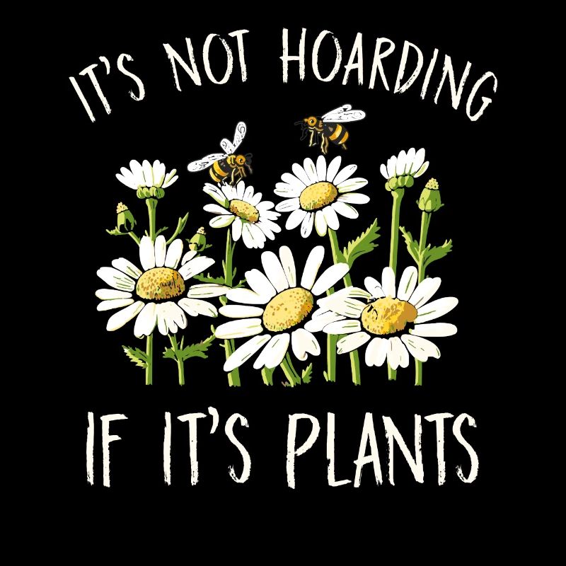 Margeriten Gänseblümchen Sommer Gänseblümchen Blumengarten