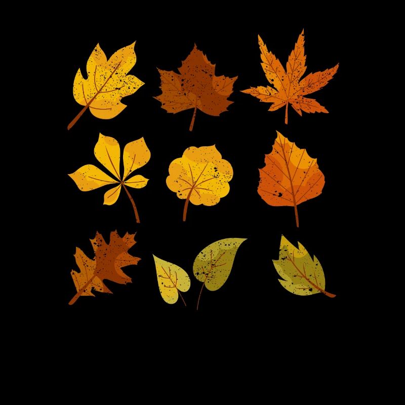 Fall Leaves Oktober Lover Herbst Leave Maple Leaf