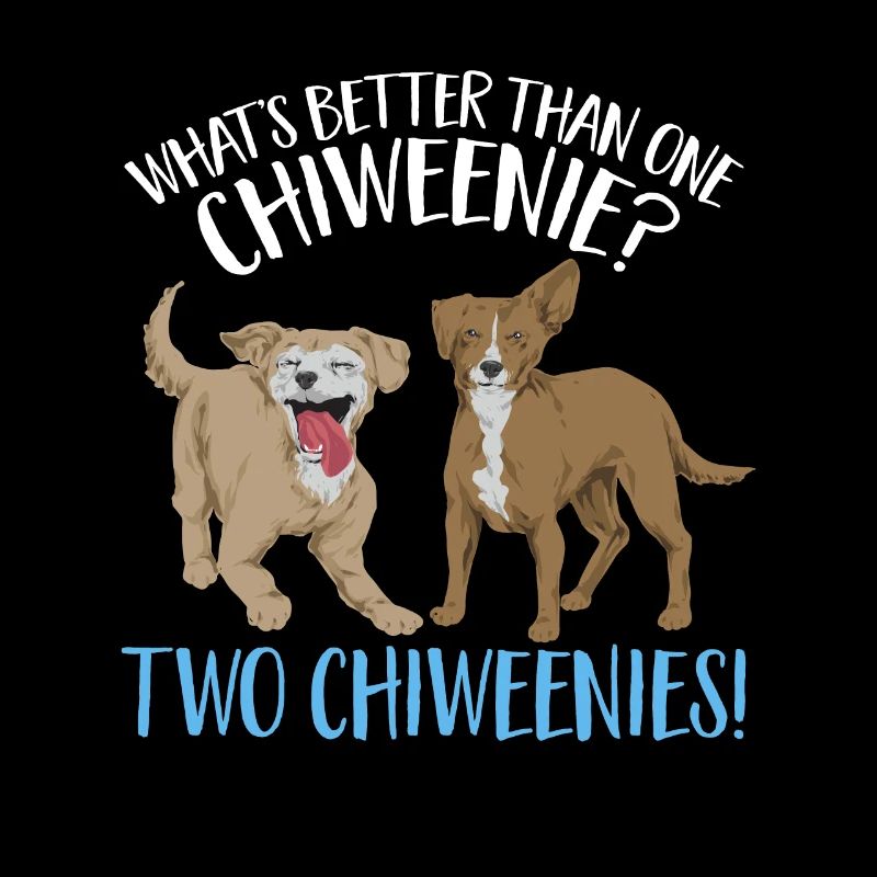 Chiweenie Dog