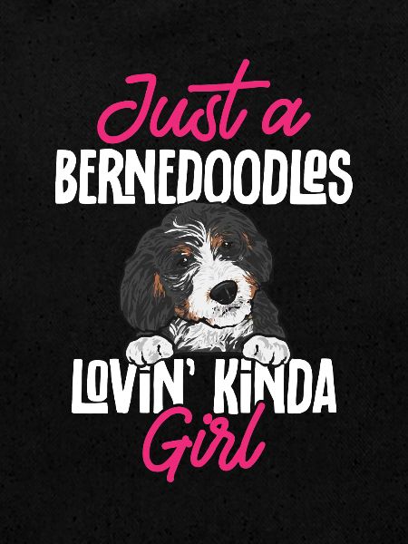 Chien Bernedoodle