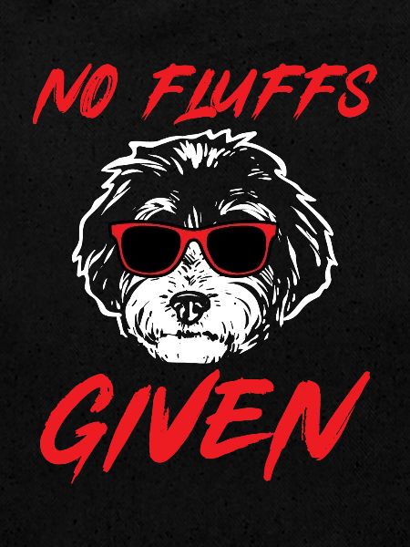 Chien Bernedoodle