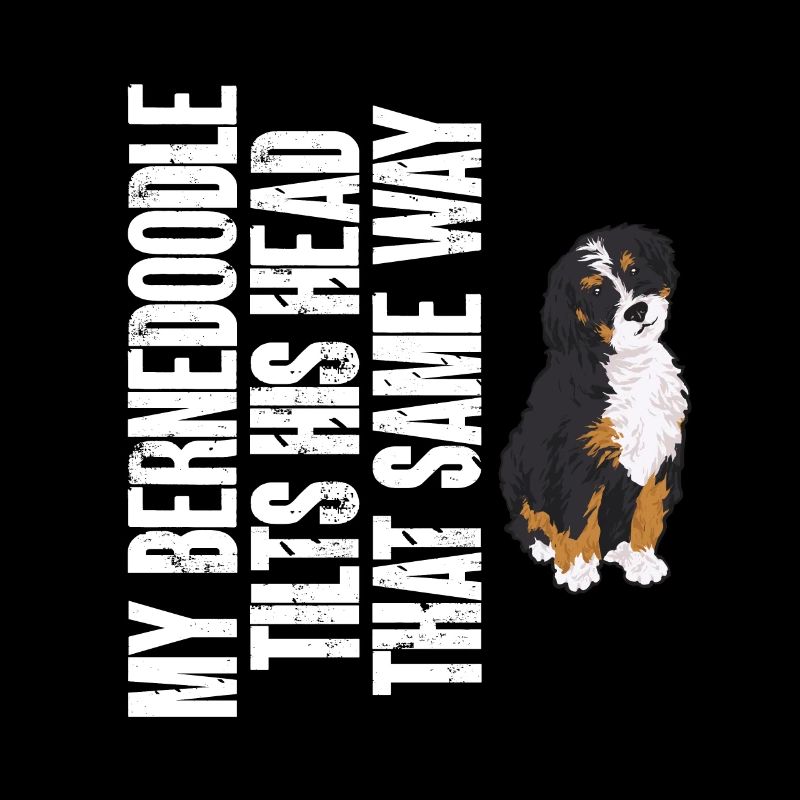 Bernedoodle Hund