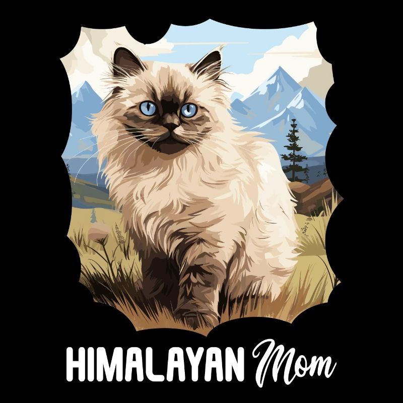 Himalayan Cat Colourpoint Katze
