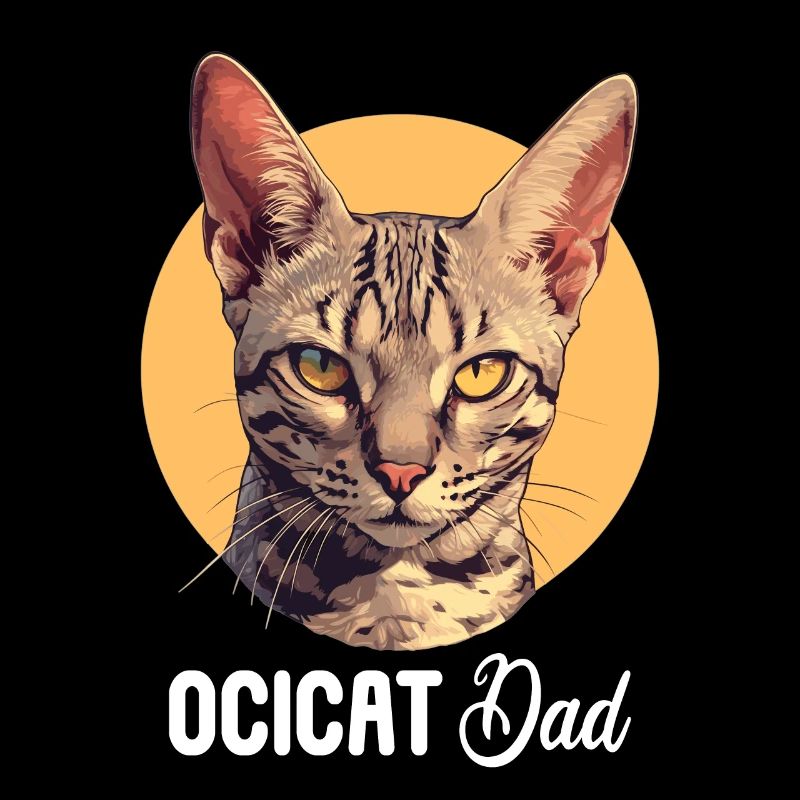 Ocicat Kitten Ocicat Cat