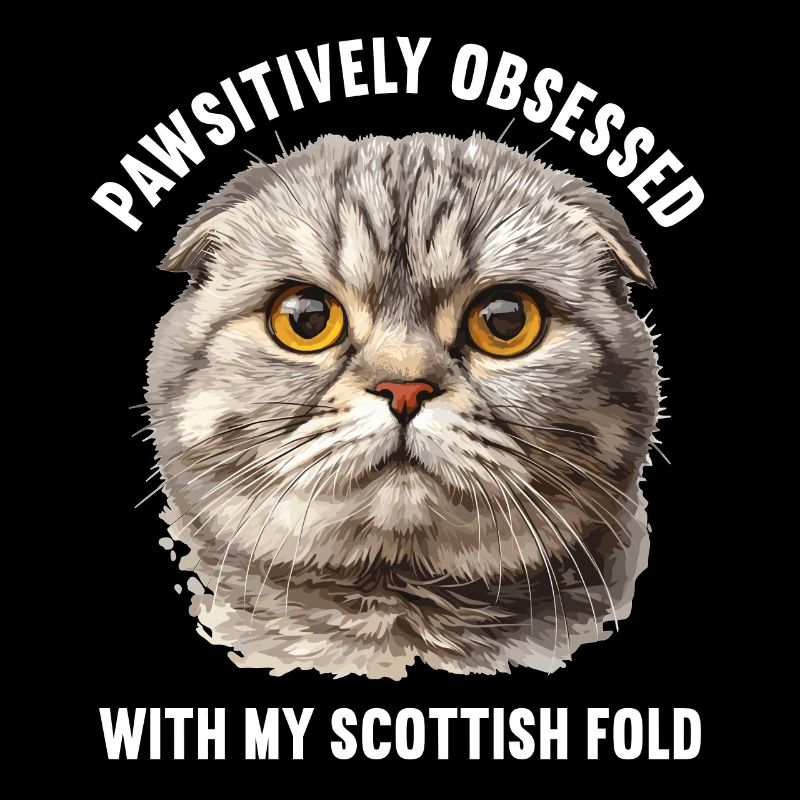 Scottish Fold Kätzchen Scottish Fold Katze