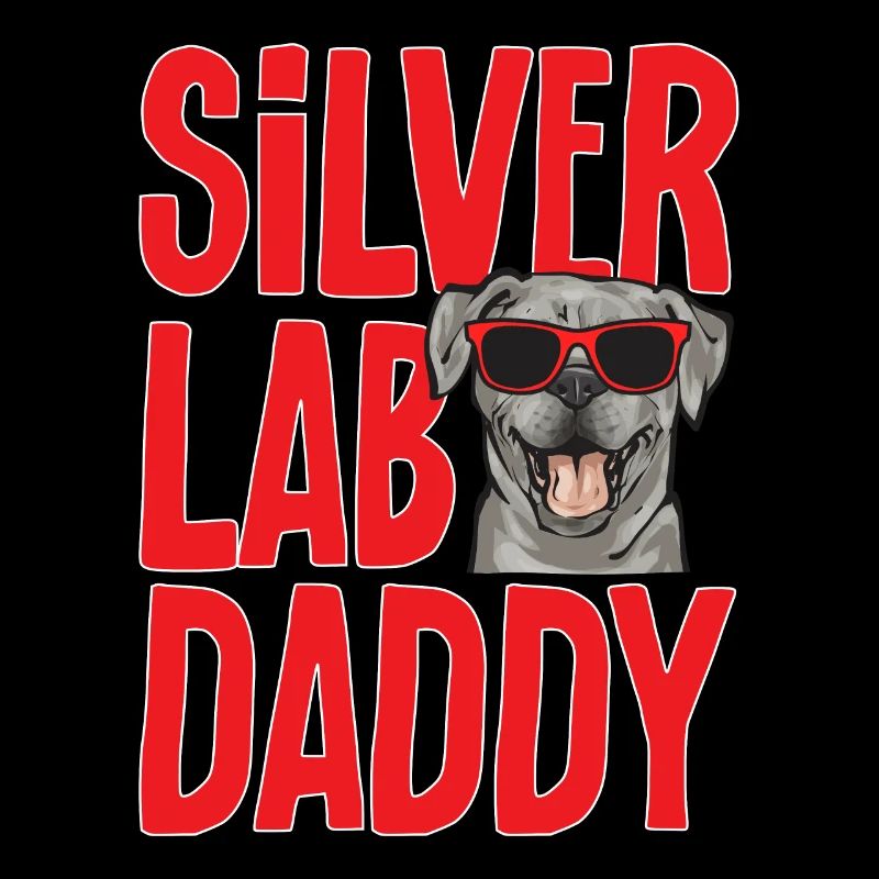 Silver Labrador Retriever Silver Lab