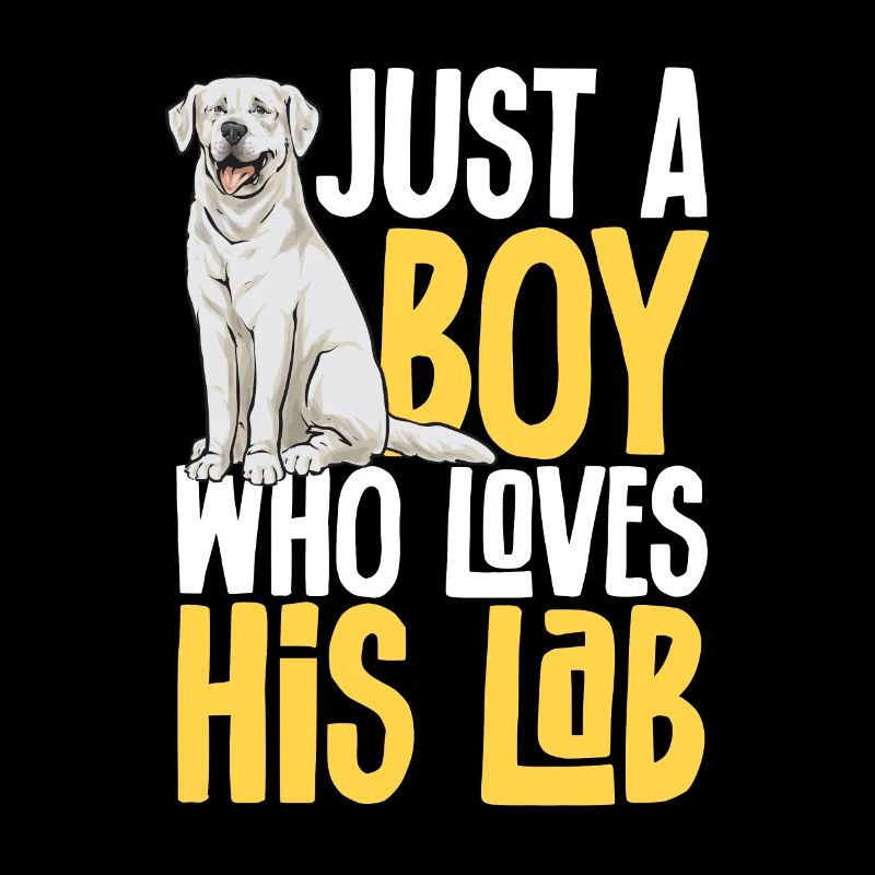 Labrador Retriever blanc Labrador Labrador blanc