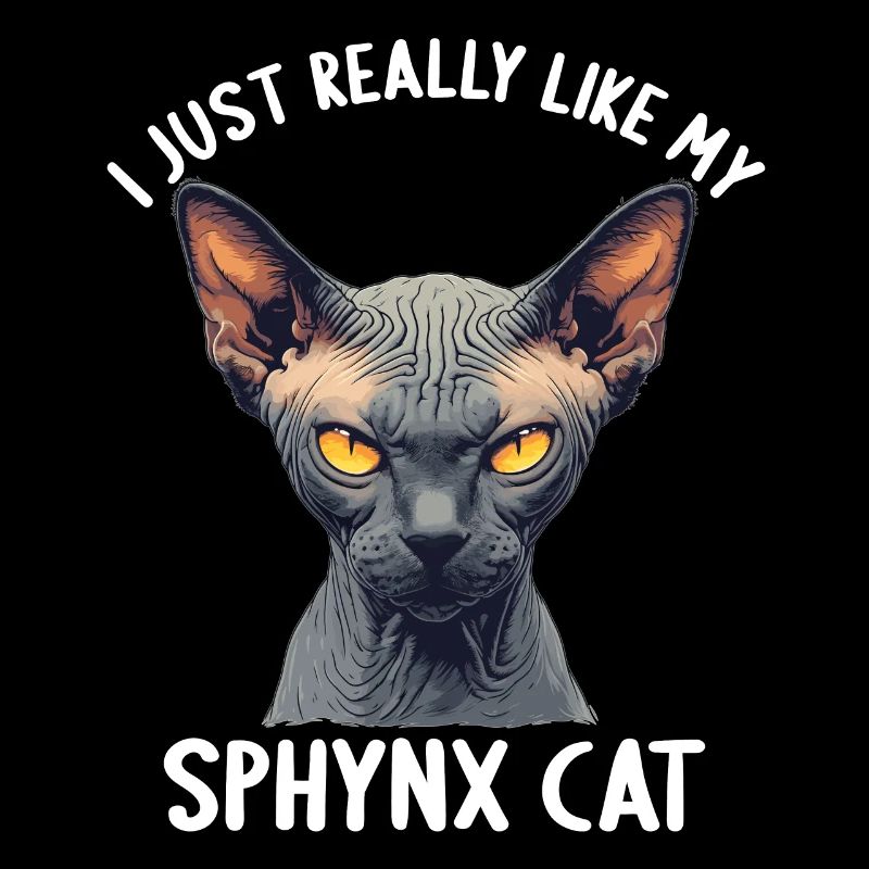 Chaton Sphynx Chat Sphynx