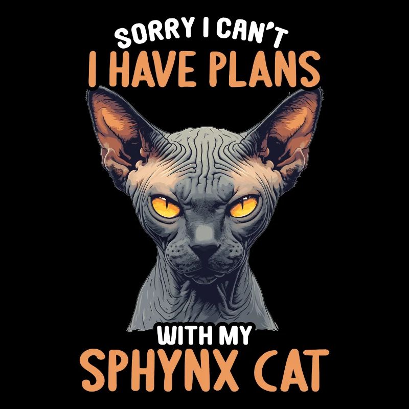 Chaton Sphynx Chat Sphynx