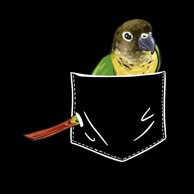 Perruche Molina Perroquet Perruche oiseau