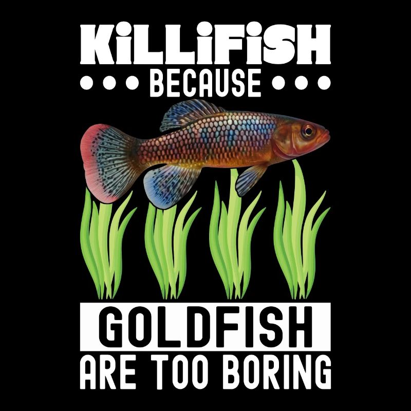 Killifish Quarium Fish
