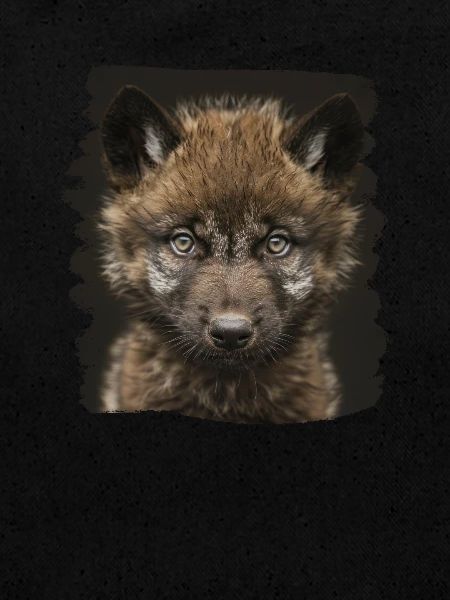 Wölfe Wolf