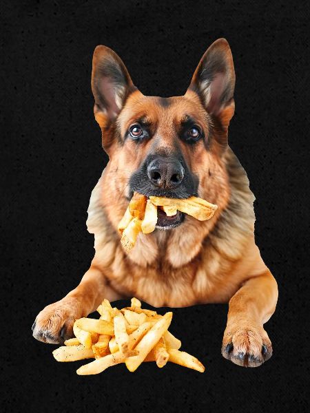 Deutscher Schäferhund