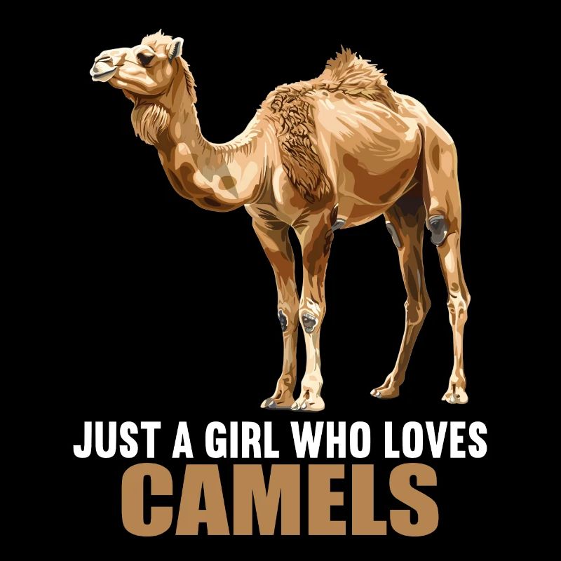 Chameau Kamele Kamel