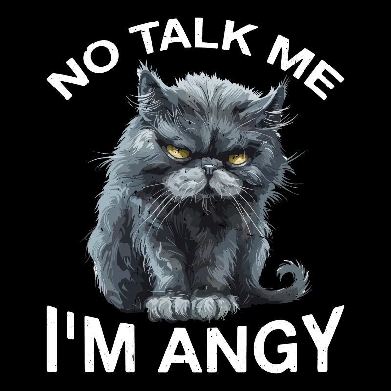 No Talk Me I'm Angy 2