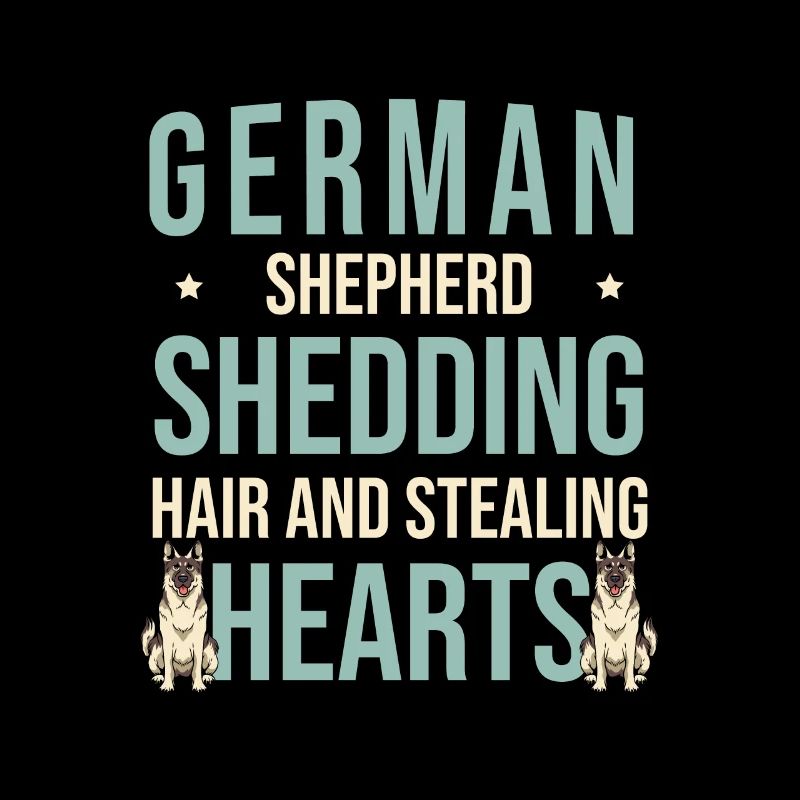German Shepherd Shedding Hair And Stealing Hearts