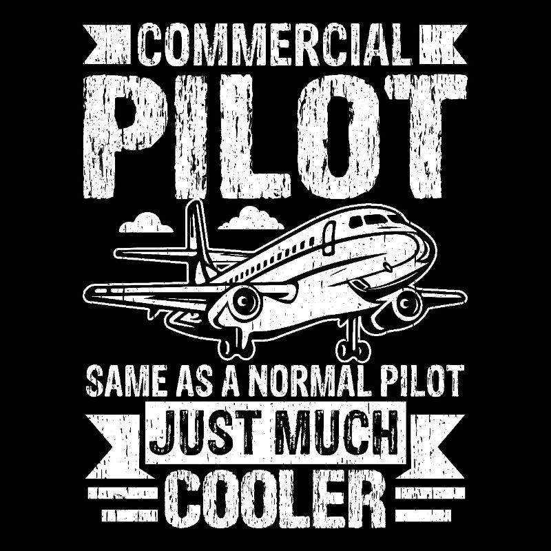 Berufspilot wie ein normaler Pilot nur viel