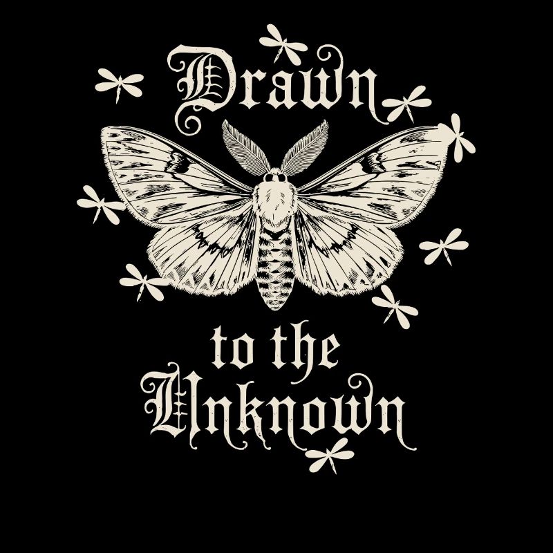Attracted by the Unknown Butterfly Art