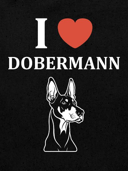 dobermann