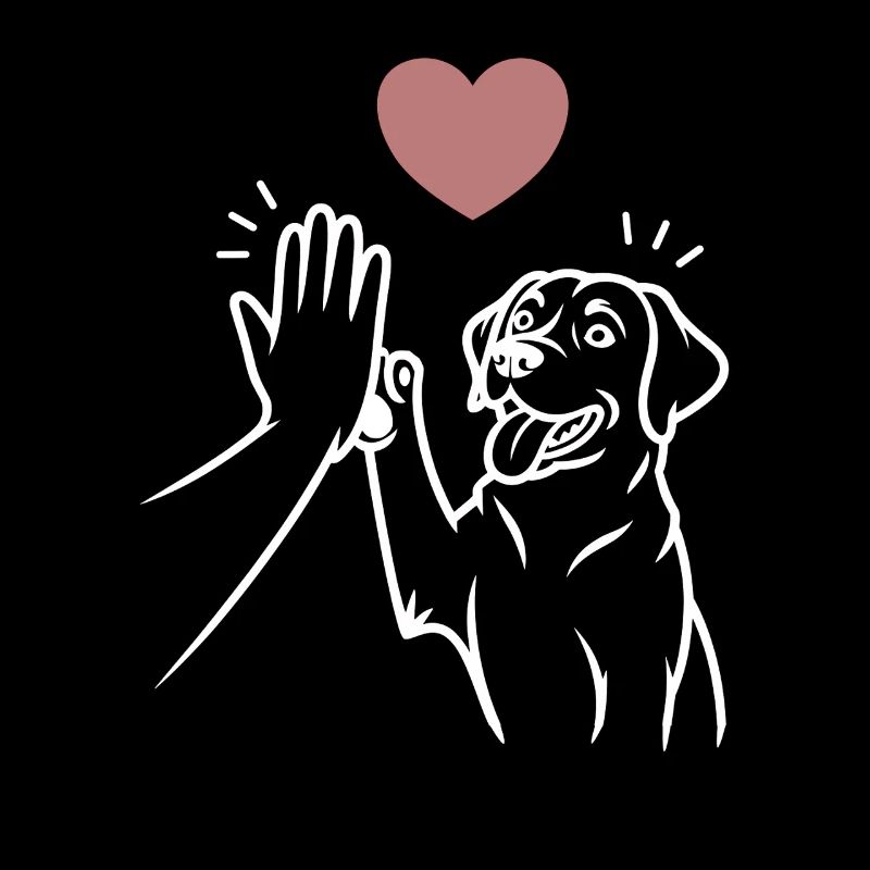 Labrador high five