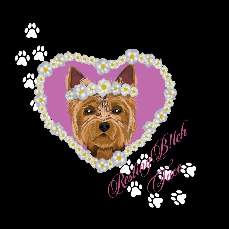 Ruhender Tch-Face Yorksire Terrier