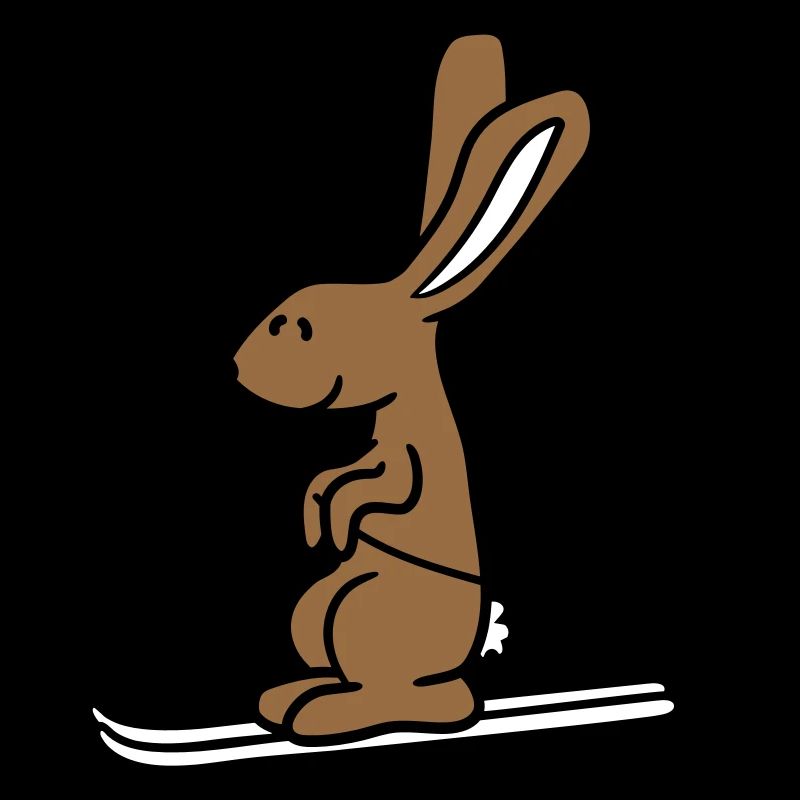Rabbit Ski Bunny Skiing Winter Skiing Snow